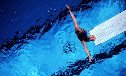 Introduction to Diving Lessons at Duke Diving Club (Up to 45% Off). Three Options Available.
