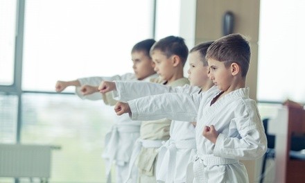 Up to 89% Off on Kids Fitness Classes at TAEKWON PARK MARTIAL ARTS