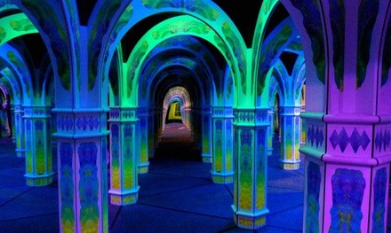 Private Admission for Up to Six or Eight to Magowan's Infinite Mirror Maze (Up to 50% Off)