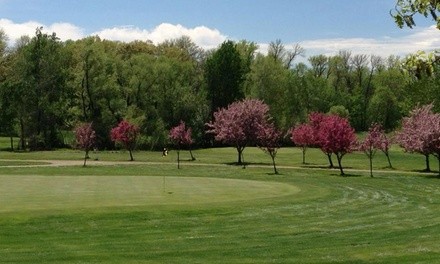 18-Hole Round of Golf for Two or Four Including Cart Rental at Viking Meadows Golf Club (Up to 40% Off)