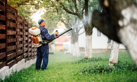 One Mosquito Backpack Fogging or Exterior Pest Control Treatment from No'Squitoes (Up to 70% Off)