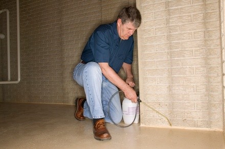 Up to 64% Off on Pest Control Service - Termite at A-1 PEST & TERMITE