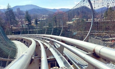 Gravity Coaster Ride or Laser Gun Coaster Ride Admission for One at Rowdy Bear Mountain Coaster
