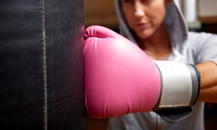 Up to 51% Off on Boxing / Kickboxing - Training at Rodrigues Boxing