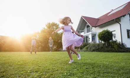 Pest-Control Service from Eco Pest Control (Up to 79% Off). Three Options Available.