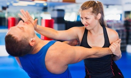 File-Class Pass for One or Two at Dragon Martial Arts (Up to 63% Off)