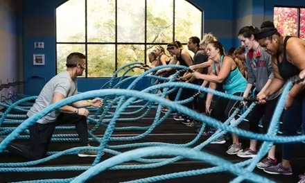 

$45 for One Month of Unlimited Boot Camp Classes for One Person at Burn Boot Camp ($179 Value)
