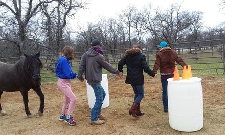 $55 for 60-minute Horse Encounter for Relationship Enrichment at Roughout Ranch ​$65￼ Value