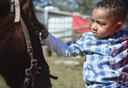 Up to 58% Off on Seasonal Photography at CheProduktions