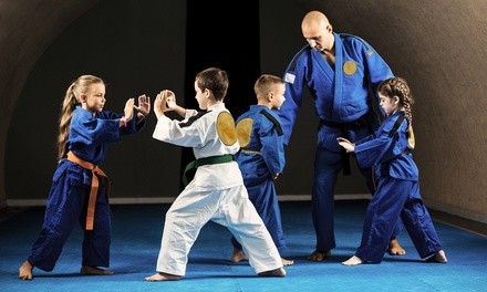 5, 7, or 10 Martial Arts Classes for Kids at Brooklyn Martial Arts (Up to 78% Off)