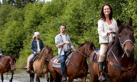 Therapy at Equine Tranquility Wellness Center (Up to 59% Off). Two Options Available.