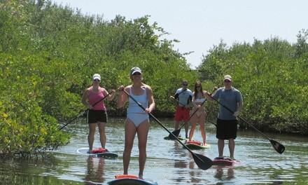 Paddleboard Lesson and Tour for Two or Four at Paddleboard Connection (Up to 50% Off)