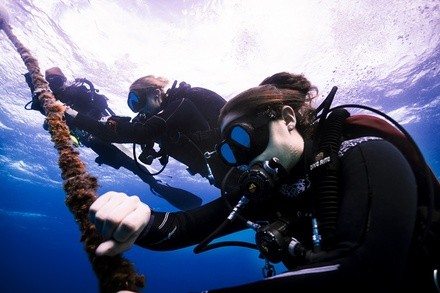 Up to 32% Off on Diving Lesson at 1.877.SCUBA.USA