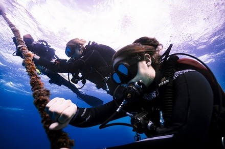 Up to 32% Off on Diving Lesson at 1.877.SCUBA.USA