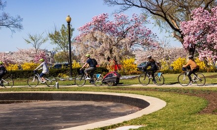 Book Now: Three-Hour Monuments and Memorials Bike Tour from Unlimited Biking 