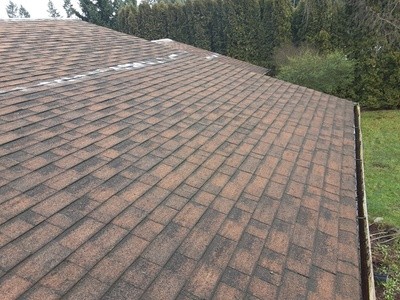 Up to 41% Off on Roof Moss Removal at c-wags llc