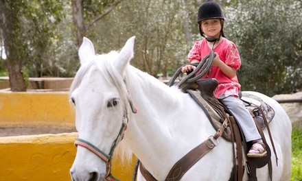 Summer Camp for One Child at Spirals Gym and Ed-Venture Kids Center (Up to 54% Off). Three Options Available.