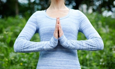 Up to 49% Off on Online Yoga / Meditation Course at KarmaLove 4 U