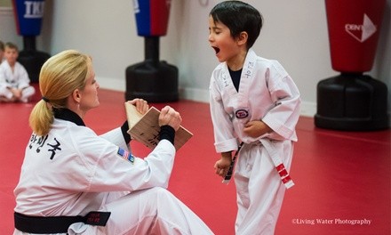 Beginner Private Lessons and More at Chong Hyo Century Tae Kwon Do and Sword Art (Up to 50% Off)