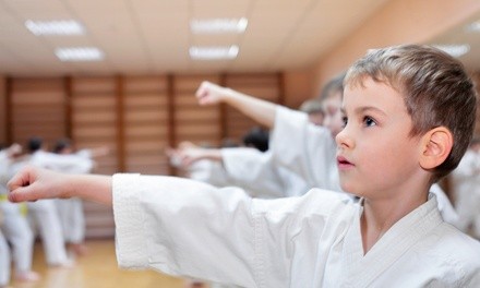 10 or 16 Martial-Arts Classes and Uniform with Option for Test and a Graduation Belt at Go2Karate (94% Off)