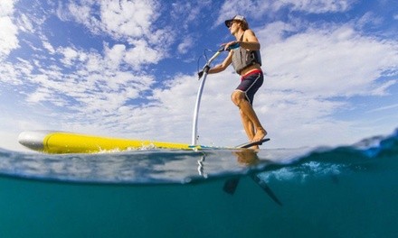 One-Hour Hobie Mirage Pedal Board Rental for One or Two from Miami Beach Paddleboard (Up to 73% Off)