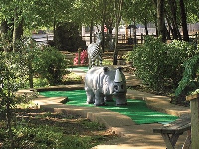 $20 For Miniature Golf & A Large Cheese Pizza For 4 (Reg. $40)