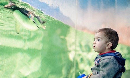 Admission for One Adult and One or Two Children, or Family Pack at Texas Children's Museum (Up to 25% Off)