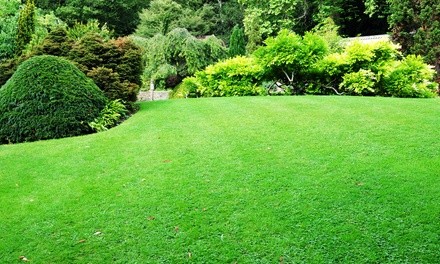 Up to 35% Off on Lawn Mowing Service at Landscaping By Tony