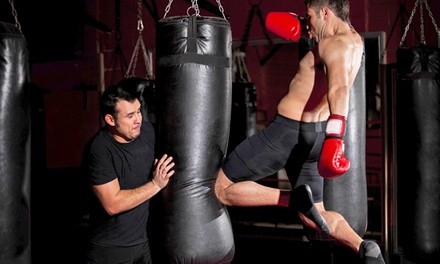 3 or 5 Boxing, Brazilian Jiu Jitsu, or Muay Thai Classes at Ultimate Combat Training Center (Up to 88% Off)