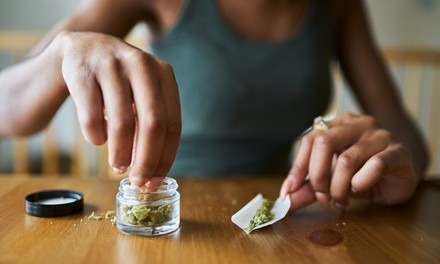 $5 for $85 Off on Medical Marijuana Treatment at The Healing Plant