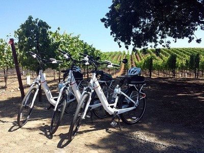 Up to 50% Off on Bike / Cycle / Bicycle - Rental at Temecula Wine Country Experiences