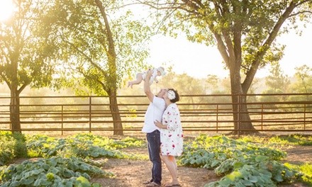 $80 for $150 Worth of Services — Sophia Elizabeth Photography