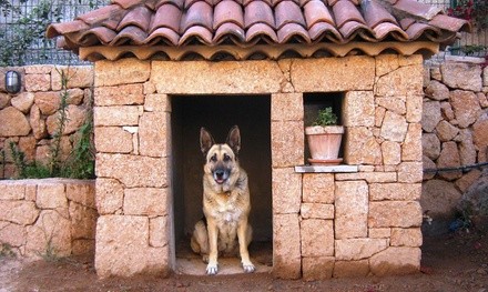 $15 for $30 Worth of Services — Golden Kennel LLC