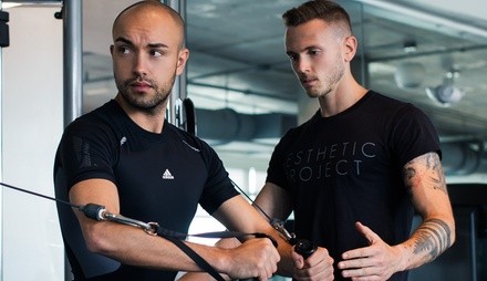 Up to 69% Off on Personal Trainer at Aesthetic Project Inc