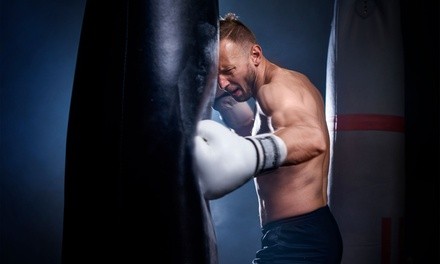 Five or Ten Boxing Lessons at MIXFIT Phoenix (Up to 62% Off)
