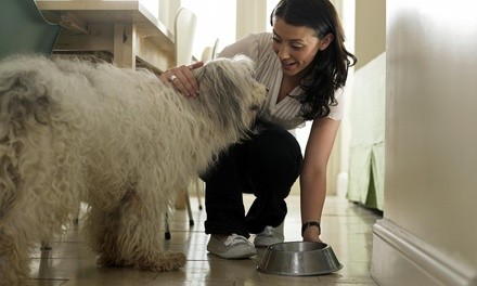 Up to 55% Off at Oaksprings Aussies & Pet Sitting