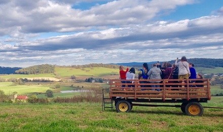 Farm Tour with Honey Tasting for One, Two, or Four at Valley View Farm (Up to 55% Off)