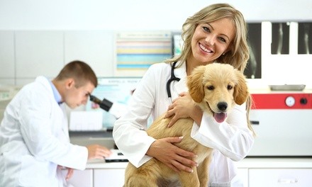 $20.25 for One Comprehensive ''Healthy Pet'' Vet Exam at Healthy Pets Veterinary Care $80