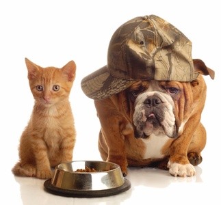 $16 Off $20 Worth of Pet - Waste Removal