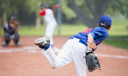 $45 for One Day of Baseball Summer Camp for One Child at D-Bat ($60 Value)