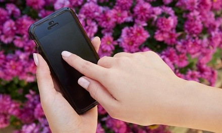 iPhone Screen Repair at Mega Wireless (Up to 44%  Off)