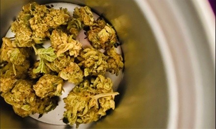 $30 for Online Self-Paced Cannabis Budtender Course from CannaMink ($40 Value)