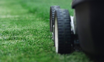 Up to 39% Off on Lawn Mowing Service at Diamond Sky Services