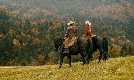 One-Hour Horseback Riding Trail Ride for Two or Four People at Trail Brothers (Up to 20% Off)