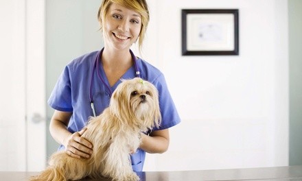 $35 for $105 Worth of care at Animal Kingdom Veterinary Center