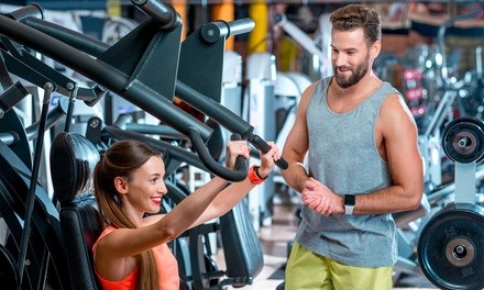 3, 8, or 12 60-Minute Personal Training Sessions at Hollins Fitness (Up to 72% Off)