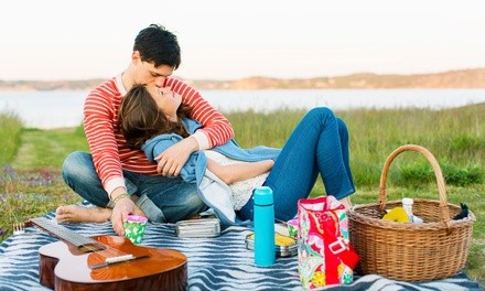Up to 42% Off on Picnic Style Dining at Luxy Nics