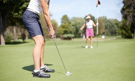 18 Holes of Golf for One, Two, or Four with Cart and Lesson at Shaker Farms Country Club (Up to 67% Off)