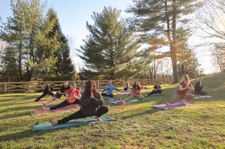 Up to 64% Off on Online Yoga / Meditation Course at The Om Collective