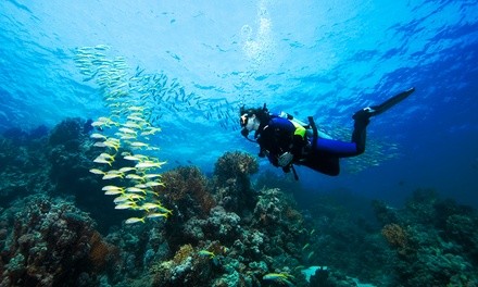 $218 for NAUI Open Water Certification for One at Texas Scuba Adventures ($300 Value)